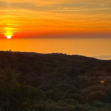 Isola Rossa Appartamenti Paduledda Bagian luar foto