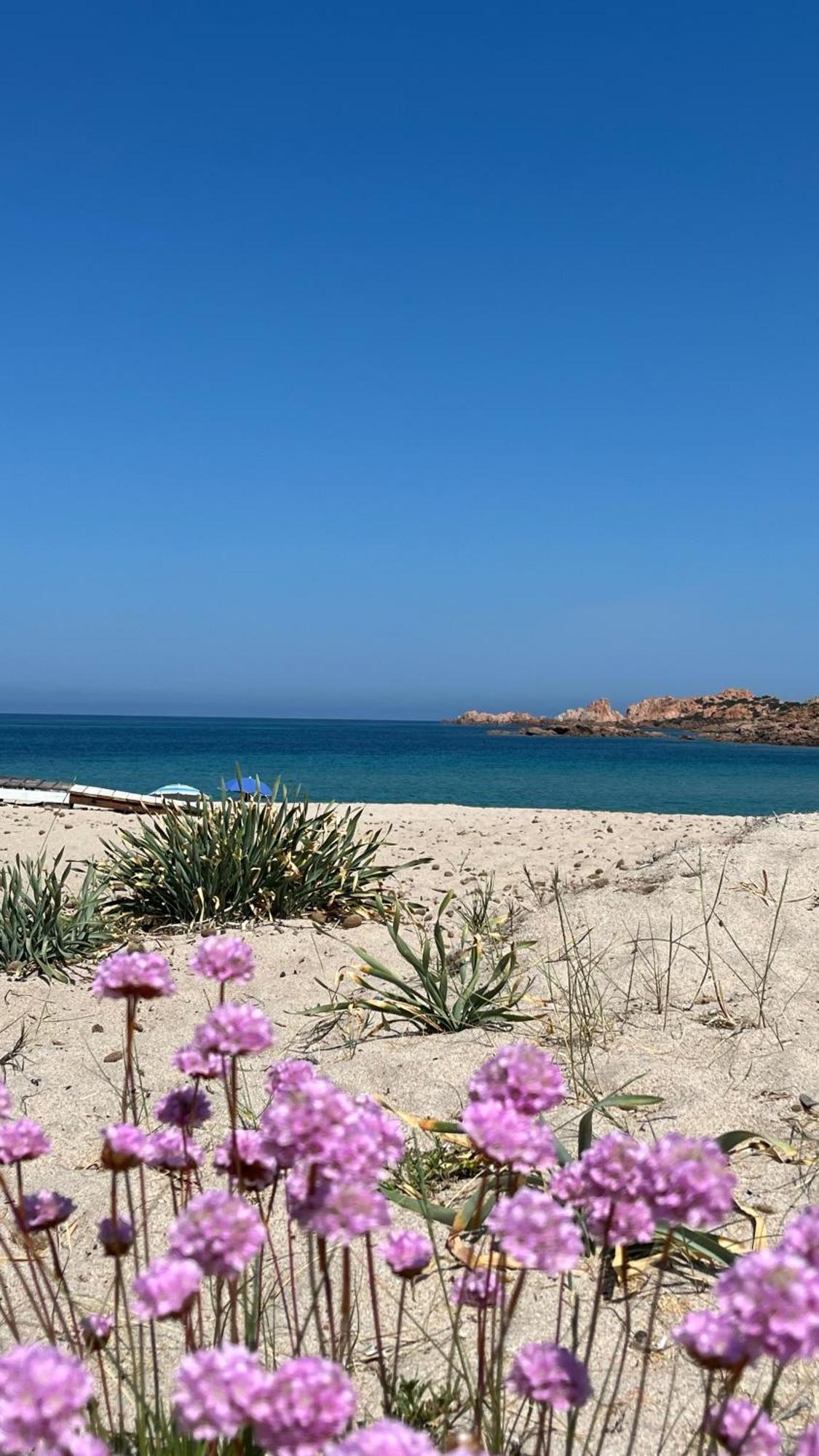 Isola Rossa Appartamenti Paduledda Bagian luar foto