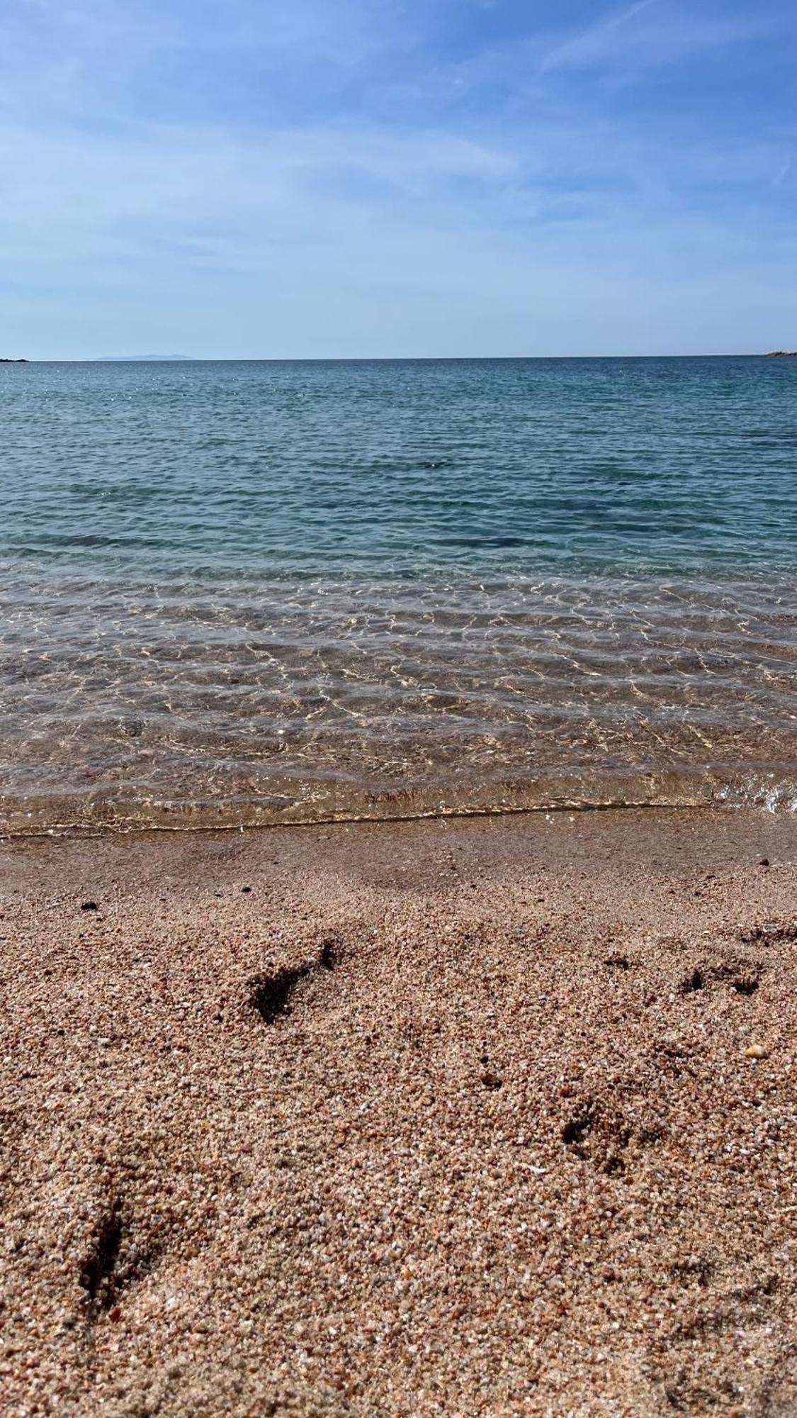 Isola Rossa Appartamenti Paduledda Bagian luar foto